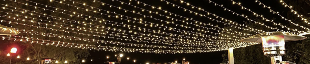 Splendor in the Night Twinkle Lights Canopy